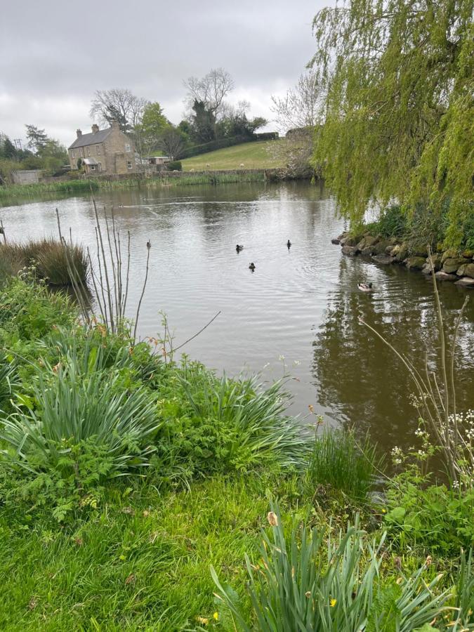 Woodside Cottage Grewelthorpe Nr Masham リポン エクステリア 写真
